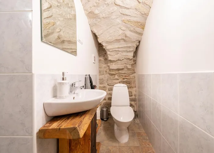 Appartement Old Town - Viru Gate *